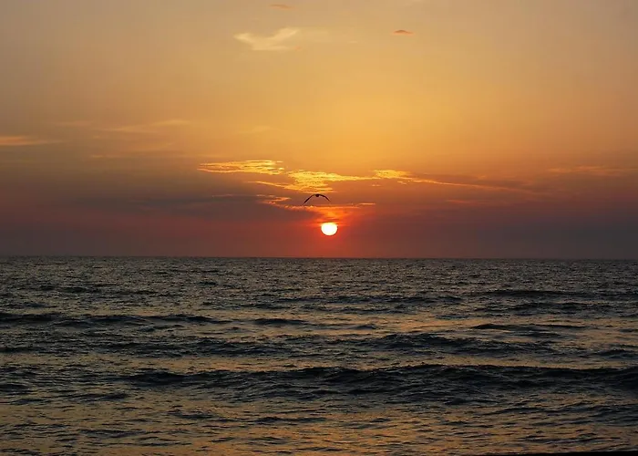 Il Rifugio Del Vecchio Bandito 度假居 伊格莱西亚斯